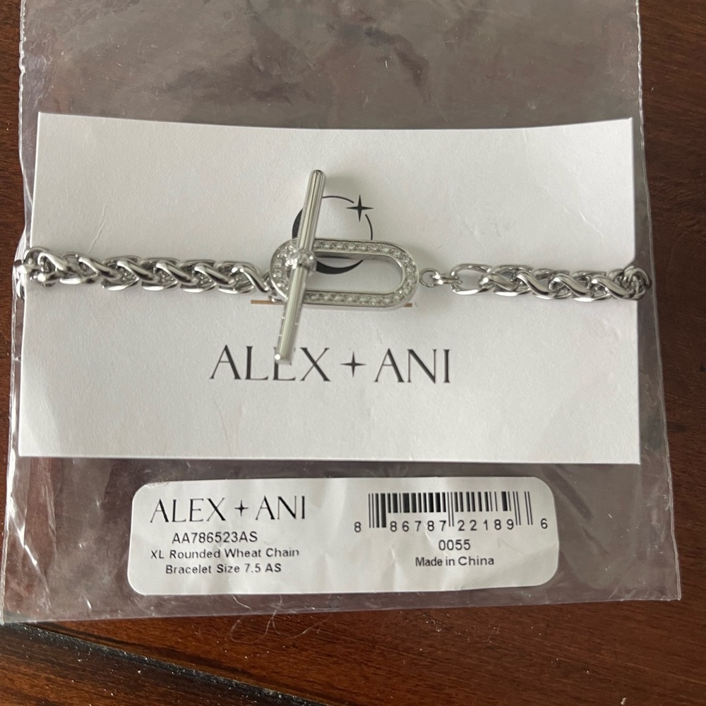 Alex and Ani Silver Chain Bracelet with Toggle Clasp